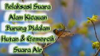 Download lagu Relaksasi Suara Alam Kicauan Burung Didalam Hutan & Gemercik Suara Air@oridiwali mp3