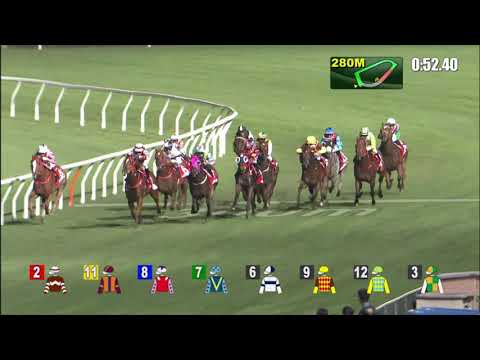 24/11/2021 (204) Scores Of Fun - Z Purton