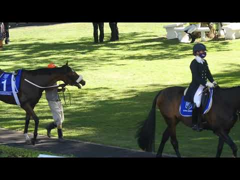 2021 Cape Rown Met Racing Festival