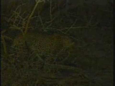 Sept 8, 2007 WE pm Drive Video #3