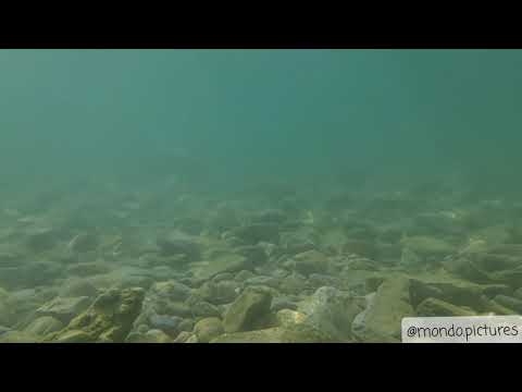 Alabas- D33pSoul x Chaama x Amine Naami