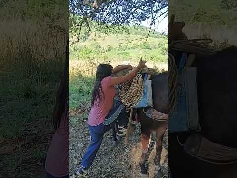 una llanera en viota cundinamarca