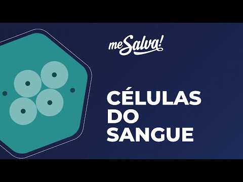 Células do Sangue - Histologia Humana - Me Salva! Saúde