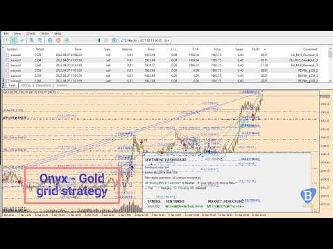 Video Blue Onyx Pi MT4