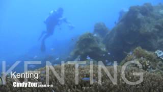 preview picture of video 'Kenting (KenDing) Taiwan 台灣 魚群.m4v'