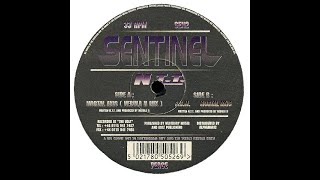 N.T.T. - P.C.M. (Hardtrance 1995)