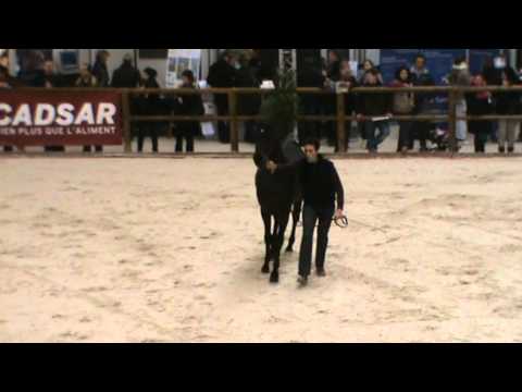 Nonplusultra (Nimmerdor)