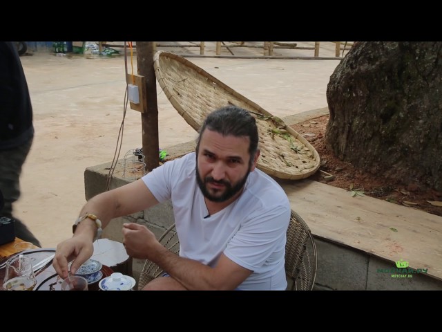 Дегустация и сбор чая на горе Наньношань, 2017.南糯山.Nannuoshan