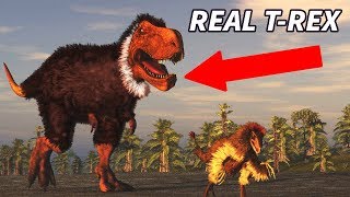 MYTHS About Dinosaurs You PROBABLY Still Believe!