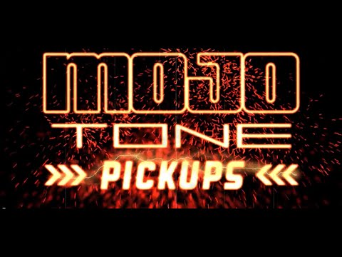 Predecessor - Mojotone Level Head & Classic 7-string pickups