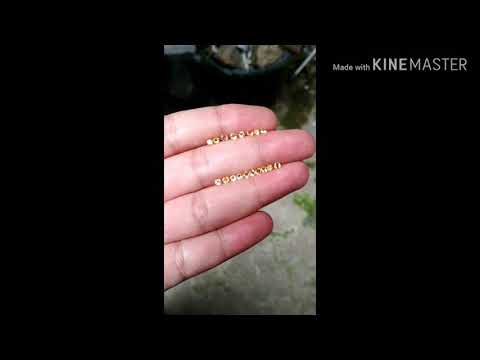 C31 - 0.1 ct est Diamond Cut 3.0x2.1mm Natural Golden Yellow Citrine VS unheated Brazil