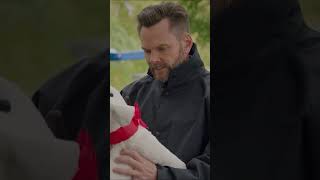 show video image in three sizes