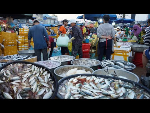 Early Morning Fish Market Scene - Daily Lifestyle of Vendors Buying Fish, Seafood in Fish Market