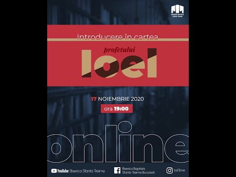 Ionel IUBAS si Octavian BABAN introducere in cartea IOEL - BBSF3ME