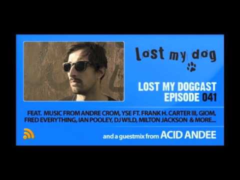 Lost My Dogcast 041 - Acid Andee