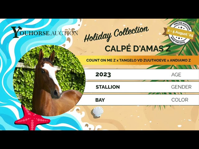 Calpé D'amas loose jumping @ home