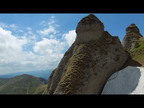 BUJORI DE MUNTE IN CIUCAS