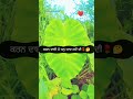 Busy Putt New Punjabi Song 2023 Edit By The Master Editor Pro Viral Songviral Newstatus2023