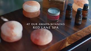 Sandals Resorts Caribbean Diaries: 24 Hours at Sandals South Coast