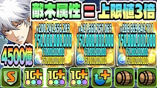 【パズドラ】坂田銀時！敵が木属性の時ダメージ上限値１５００！一撃驚愕の４５００億！銀魂×カツーラ×ダイナループ！かぶき町コロシアム！