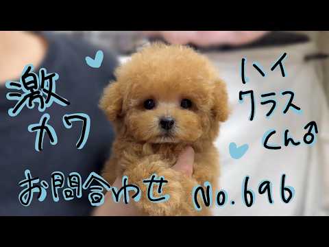 YouTube動画のサムネイル