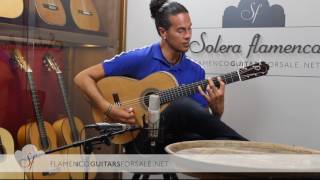 Jerónimo Pérez 2017 Mod.Torres flamenco guitar for sale played by Alberto Fernández