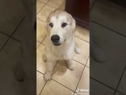 Jerome, Hedara - Blow Ur Mind  [Tiktok viral 2023 party 2023 - party music gaming music]