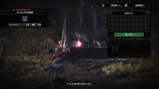 HR100になる瞬間　初見参加歓迎［モンスターハンターワールド］［MHW］
