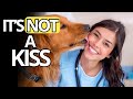 When Your Dog LICKS YOU This Is What It Really Means And It S NOT Cute