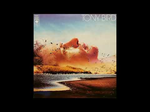 Tony Bird  - She Came From The Karroo