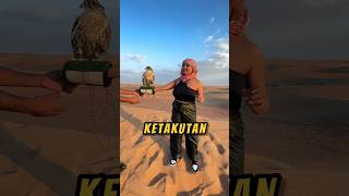 Download lagu Cewe Ini Bikin KAGET Burung Falcon❗😲 #videoviral #burung #videoshort mp3