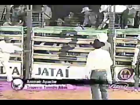 Edivaldo ap. Ansselmo vs apache