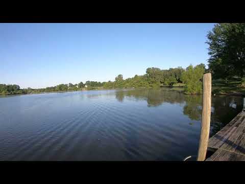 Oxidean Marine Animal 2. Testing and tuning 99mph.