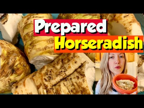Prepared Horseradish (Homemade Horseradish Recipe)