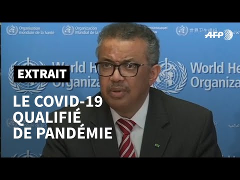 L'épidémie du Covid-19 est une "pandémie", annonce l'OMS | AFP Extrait