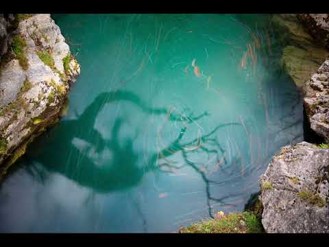 Donde se halla la magia✨