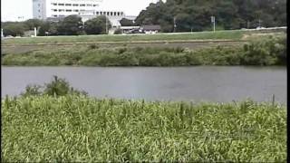 preview picture of video '川のビデオ（利根川）　　The video of the river（Tonegawa）　（HD）'