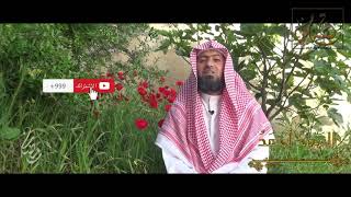 صورة قصة مثل-   الحلقة (13) العود أحمد