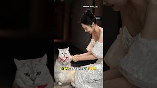 Download lagu Babu dan Milo sama aja kelakuannya bikin Lucu🤭🤣 #kucing #kucingmilo mp3