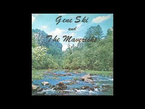 Nashville Music By Gene Ski and The Mavericks - private press country rockabilly - Green Bay WI