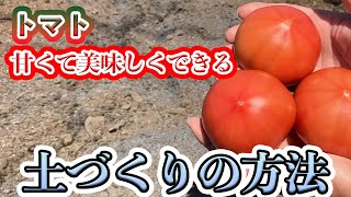 【トマト】土づくりで変わる美味しくて甘いトマトの作り方