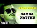 Samba Nattu Cheran Pandiyan Sarthkumar Srija Tamil Mp3 Music 7 0