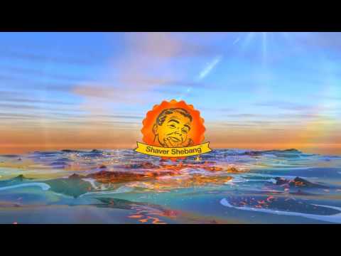 14 Panasonic Concentrate Replacements 4xshaver Shebang Electric Citrus Ebay