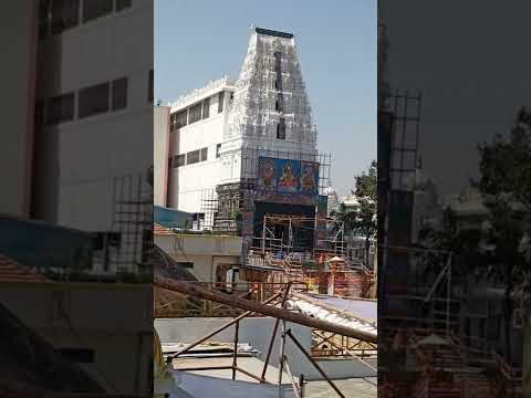 vasantha panchami #wargal#vasanthapanchami#panchami#wargaltemple#devotional #temple#shorts#ytshorts