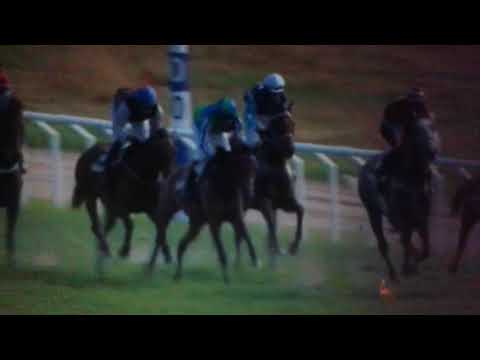 Häcklöp Göteborg galopp 2018 2min