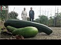 Duimendraaien voor Nieuwegeinse tuinders: kan oogst de prullenbak in? [RTV Utrecht]