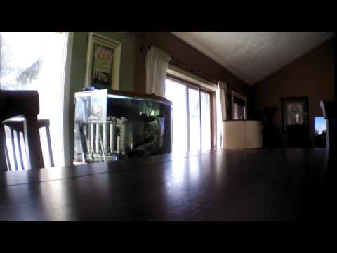 AR.Drone 2.0 Video: 2016/02/20