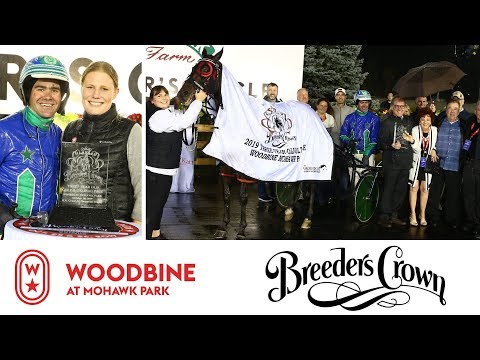 2019 Breeders Crown Final: 3YO Colts & Geldings Pace | Woodbine At Mohawk Park, October 26 – Race 8