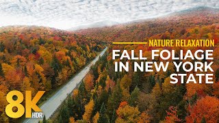 Stunning Autumn Scenery of New York State - 8K HDR Fall Foliage Relaxation Video + Real Nature Sound