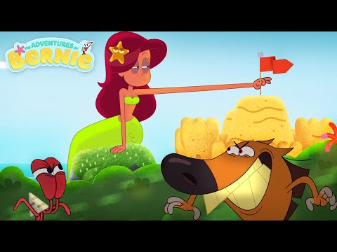 MARINA'S CASTLE 🏰 NEW The Adventures of Bernie 👑 Zig & Sharko - Cartoons for Kids
